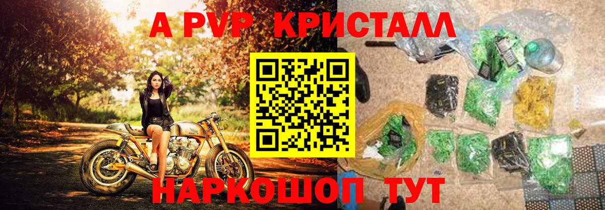 Альфа ПВП СК Лосино-Петровский
