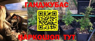 ALPHA PVP Камышлов