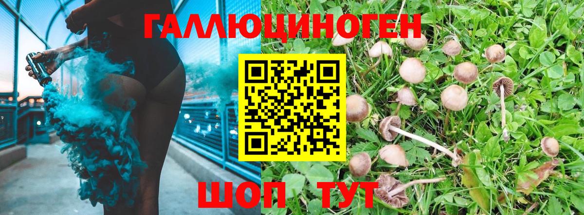 Галлюциногенные грибы мицелий  Псилоцибиновые грибы мицелий  Лосино-Петровский  Вход с VPN 